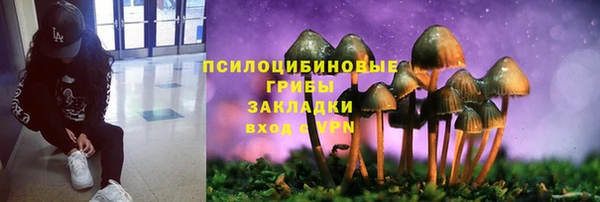 кокс Аркадак