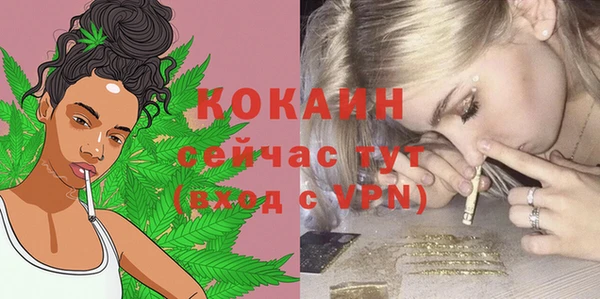 кокс Аркадак