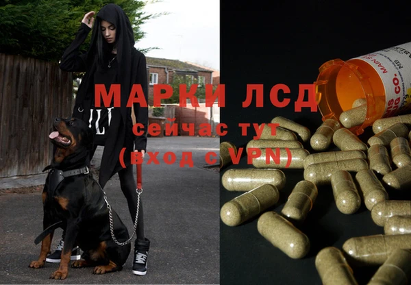 кокс Аркадак
