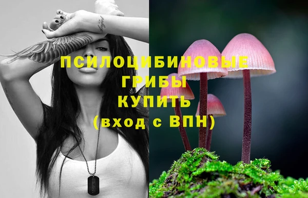 мдпв Армянск