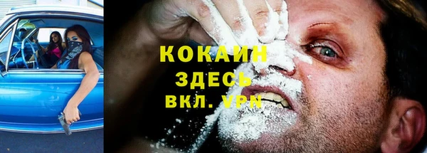 мет Арсеньев