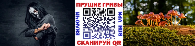 Галлюциногенные грибы Psilocybe Серафимович