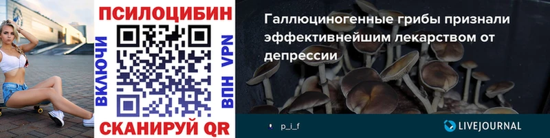 продажа наркотиков  Серафимович  МЕГА онион  Галлюциногенные грибы Psilocybe 